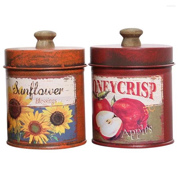 Bottiglie di stoccaggio 2 pezzi piccoli vasi di fiori vintage con coperchio creativa caramella di ferro da fiori in ferro da fiori Mini Office di container Succulento Container