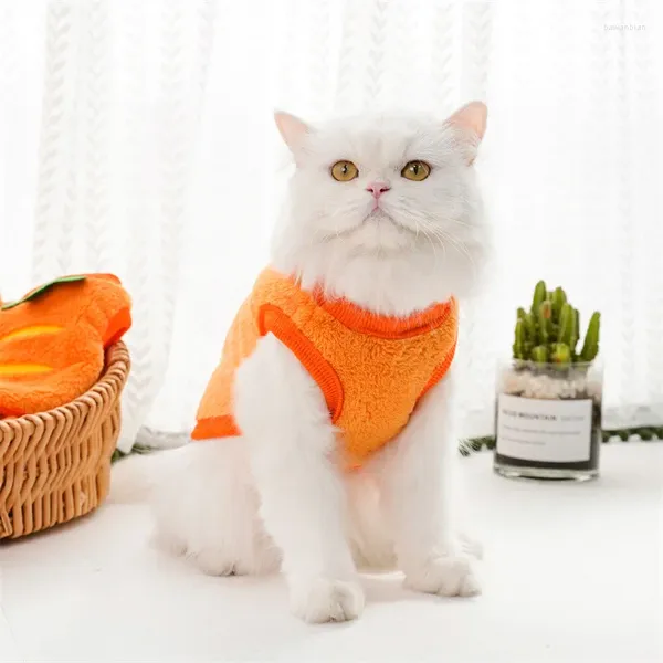 Vestuário para cães Suprimentos para animais de estimação para cães inverno calor cenoura roupas e conforto universal coral veludo gatos