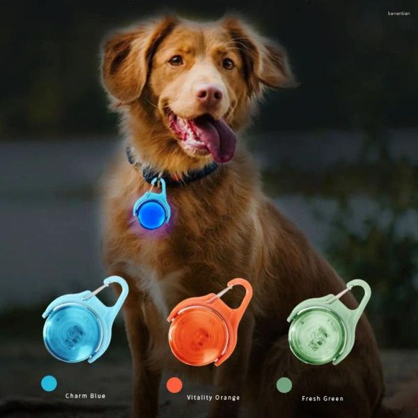 Abbigliamento per cani Collare a LED che cambia colore RGB Luce colorata USB ricaricabile Ciondolo luminoso 4 modalità Rotazione a 360 °