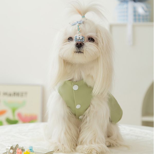 Heiße Neue Haustier Rock Dünne Atmungsaktive Nette Prinzessin Wind Ärmellose Weste Kleine Hund Teddy Katze Zweibeinigen Haustier Baumwolle kleidung Kann Gezogen Werden.2