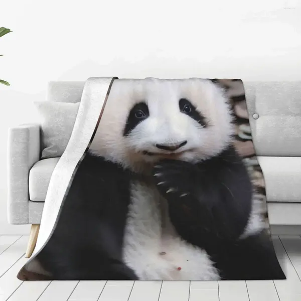 Coperte Huahua Panda Coperta per animali Morbido peluche in flanella per camera da letto a prezzi accessibili