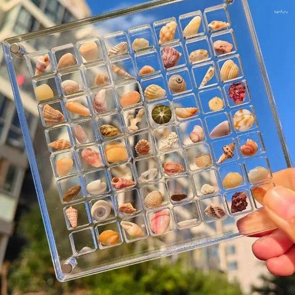 Dekoratif tabaklar deniz kabuğu ekran kutusu şeffaf akrilik kasa dolabı vitrin manyetik