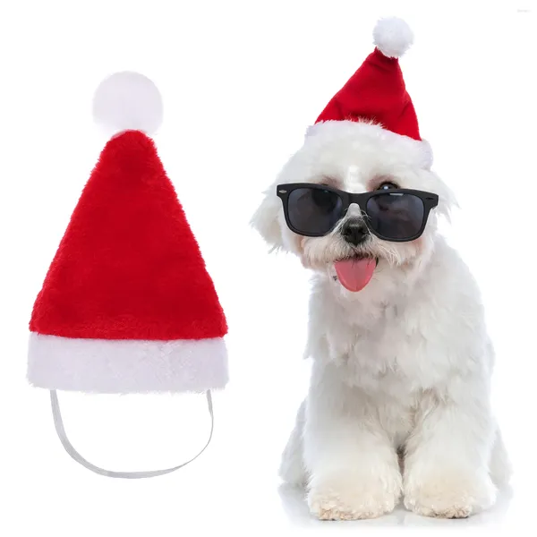 Cappelli da gatto abbigliamento per cani Pet Babbo Natale forniture per Natale Accessori mini costumi animali domestici Capi regolabili