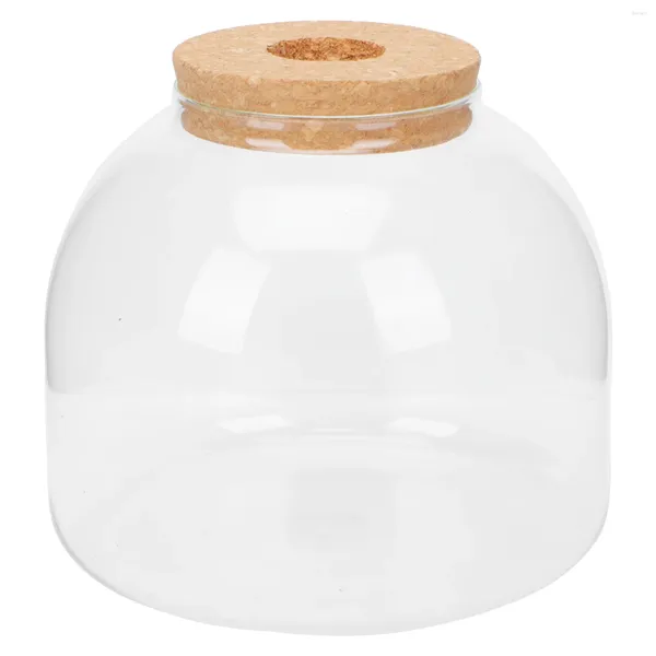 Vasen Bell Jar Hülle Stand Micro Landschaft ökologische Flasche lebende Sukkulenten Pflanzen Mikrolandscape Halter Terrarium Glas Kuppel