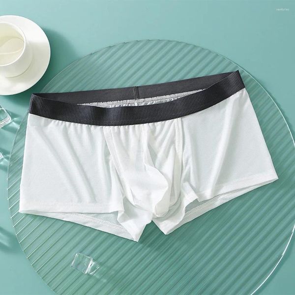 Cuecas masculinas de seda gelo ultra fina malha sem costura respirável confortável boxers roupa interior bulge boxer briefs shorts calcinha masculina