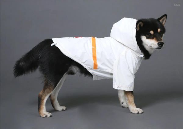 Roupas de vestuário para cães para capa de chuva pequenos cães grandes pet jaqueta esportiva filhote de cachorro visão noturna reflexiva husky samoyed