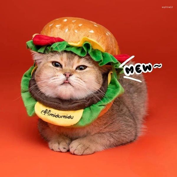 Abbigliamento per cani Halloween Pet hamburger Cappello Bib Cintonizzatore Elizabeth Anello Cat Collar Neck Set Ruota Abbigliamento