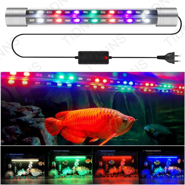 Microfoni Acquario Luce LED LAD AGLIAMENTO ASCORSO IN MACCHIO IMMAZIONE LAMPAGGIO SUGGERIMENTO SOMMERSIBILE ALTA FLUIEST RGB ACCORE ACCOUT PIANTA LIGUATA DI LUCE CRESCI