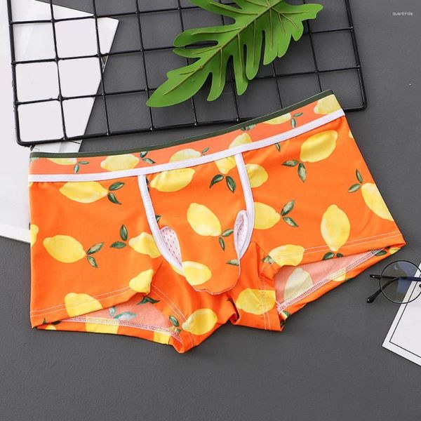 Cuecas bonito padrão impressão boxershorts mens mid-rise elefante nariz roupa interior boxer briefs bainha cobrir bolsa shorts