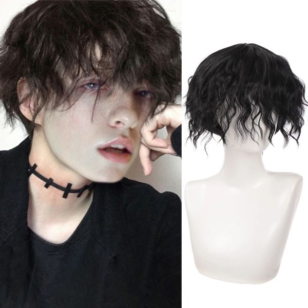 Wigs Ailiade Short Curly sintetico parrucca resistente al calore Cosplay marrone nero Cosplay Halloween Party parrucca per uomini Day Daily False Hair