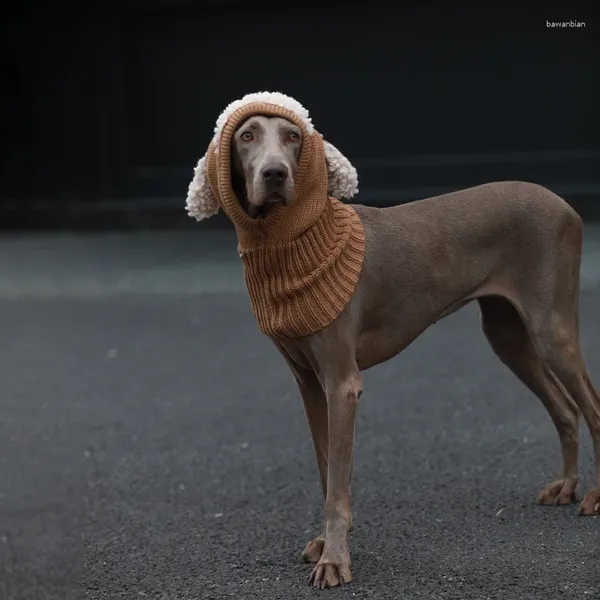 Vestuário para cães outono e inverno lã chapéu para animais de estimação pequeno-grande weimar doberman galgo cães acessórios casco para perro