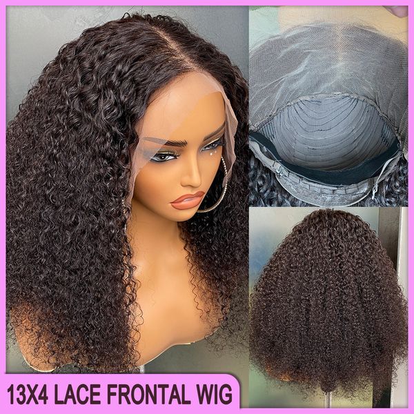 Дешевая цена Малайзийский перуанский бразильский черный кудрявый вьющийся 13x4 коричневый кружевной фронтальный парик 100% необработанные человеческие волосы Virgin Remy