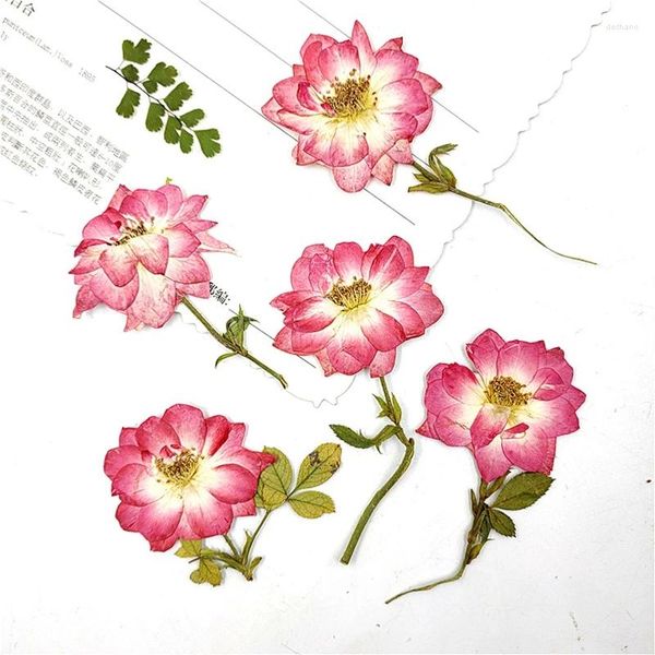 Fiori decorativi 60 pezzi Rose rosse pressate naturali con ramo Inviti di nozze fai da te Segnalibri artigianali Carte regalo Decorazione della custodia del telefono