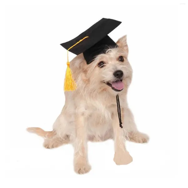 Abbigliamento per cani Cappello da laurea Accessorio per animali Costume da laurea traspirante per cani Gatti Bomboniera