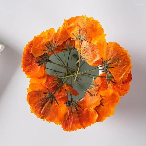 Dekoratif Çiçekler Yan Preslenmiş Krizantem Çiçek Damla Tutkal Kuru Telefon Kılıfı Bitki Örneği DIY Malzeme Mum Dekorasyonu