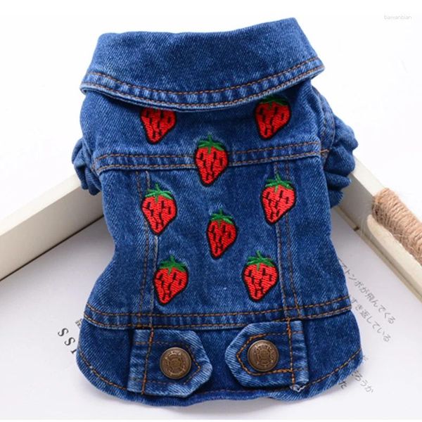 Hundekleidung Denim Weste Jacke Jeans Kostüm Katze Welpe Kleidung Frühling Herbst Kleidung Chihuahua Yorkie Pudel klein