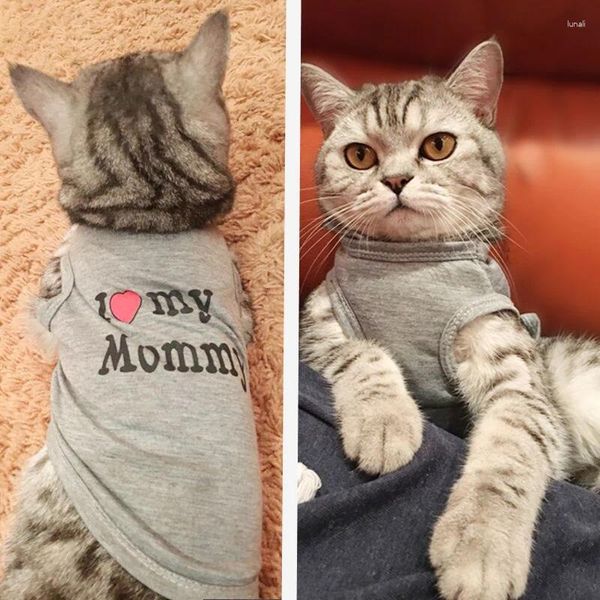 Costumi di gatto Abbigliamento carino primavera estate per il costume da giubbotto stampato di moda divertente