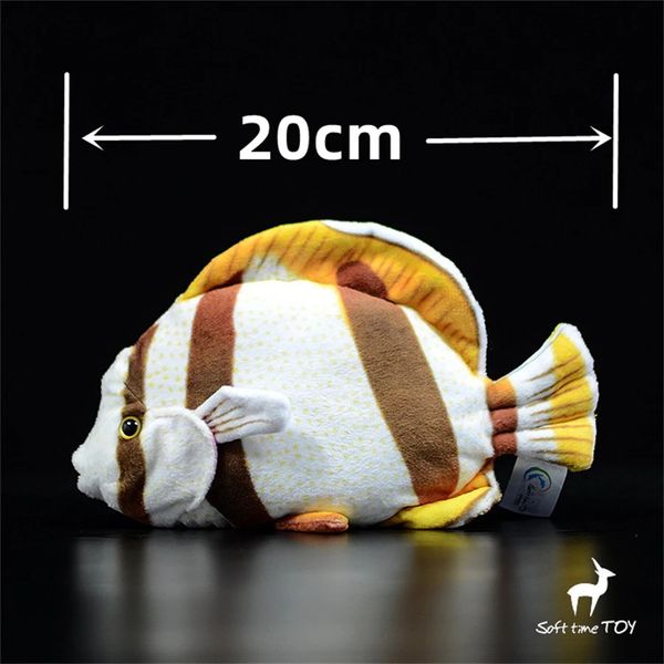 Pesce farfalla anime carino peluche angosciano giocattoli peluche di peluche simulazione simulazione bambola di bambola kawai regali per i giocattoli kawai 240325