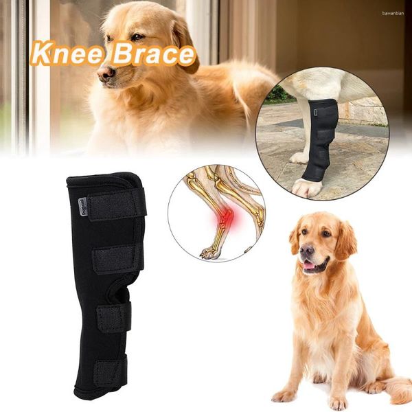 Hundebekleidung 1 PCs Erholung Beine Protektor Gelenkhackstütze Klammer Haustier Knieschalter Welpenkneepad Lieferungen Handgelenk Wache