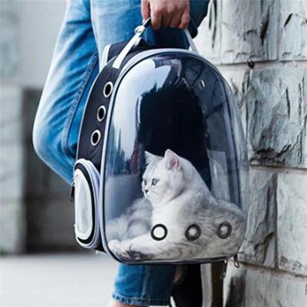 Katzenträger Trägertasche atmungsaktive transparente Welpen -Rucksack -Katzen Box Käfig kleiner Hund Haustier Travel Handtasche Raumtaschen Space Taschen