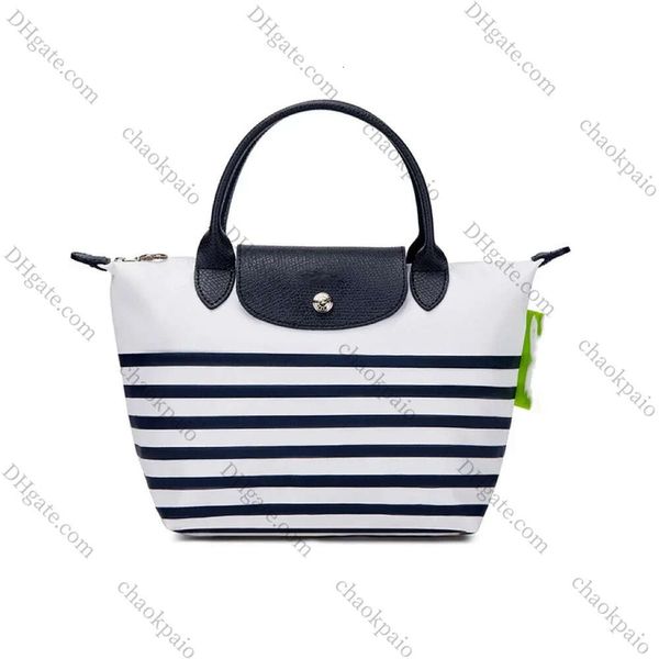 Nylon 2023 Nuova borsa a striscia blu navy grande medio e piccole donne