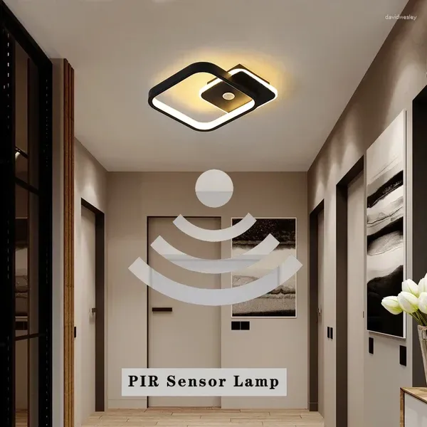 Luzes de teto PIR Sensor de movimento Lâmpada LED para corredor 220V Indoor 14W 16W Body Lighting Bedroom