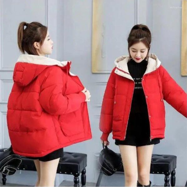 Daunenmantelkleidung Winter verdickte und warme Kapuze-Jacke Koreanische Version 15-20 Jahre alte Mittelschule Fashion Girl's Clothes's Kleider