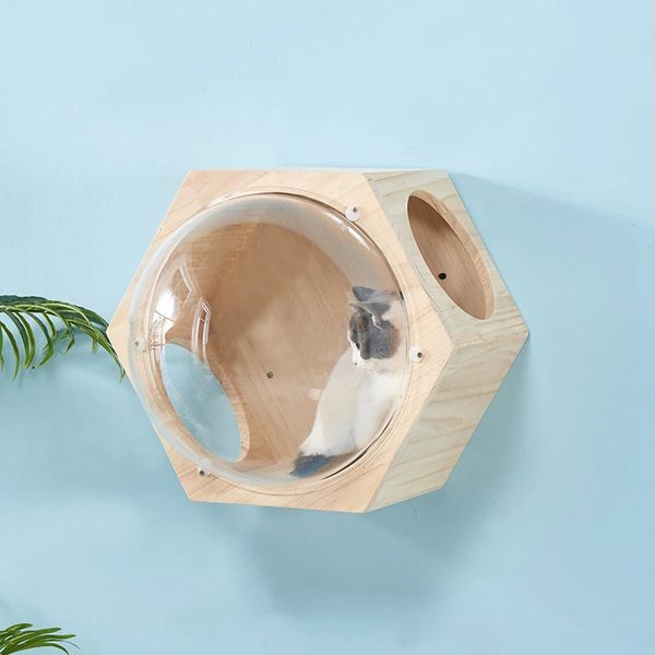 CATTO IN LEGNO MOLTO MOLTO CATTO CATTO ALLE ALBERO SPAZIO SPAPSULE CAPSULE CRAMPORE STRADA DI RACCIALE SCARPATO SCRATTA PETTA PETTRO MOBILI DELL'APPRESSIONE