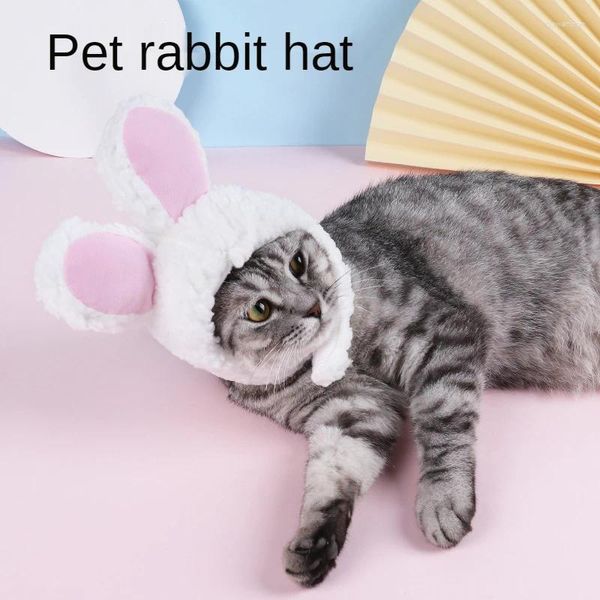 Abbigliamento per cani Funny Easter Pelugale Peluga Cappello per copricapo con orecchie per gatti e prodotti per animali domestici 2024