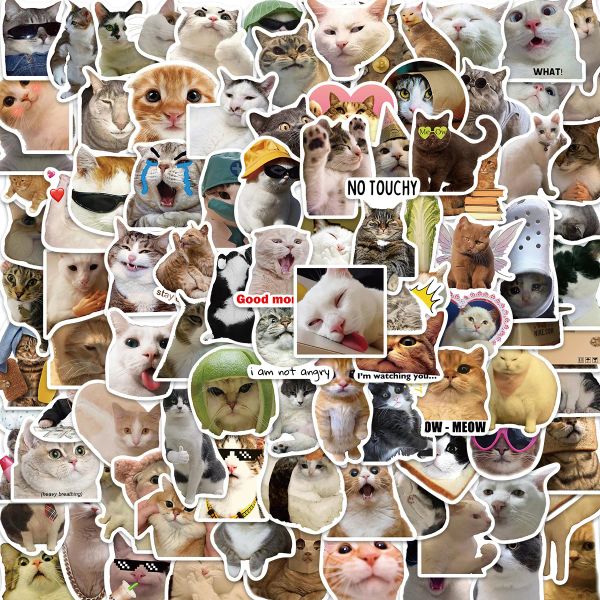 100 pcs niedliche Katzenaufkleber, lustige Katzen -Vinyl -Aufkleber Abziehbilder für Laptop Wasserflaschen Telefon Gepäck