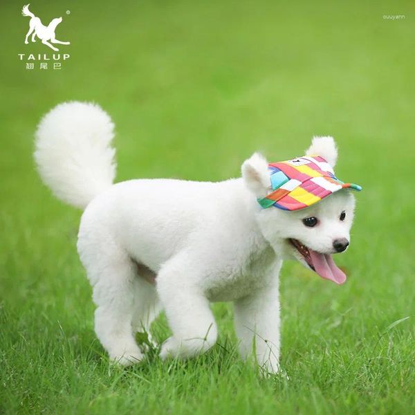 Abbigliamento per cani Colorful Canvas Hat Small Medium Orsacchiotto grande Cappello a punta PET FASH FAST FORNITURE FORNITO