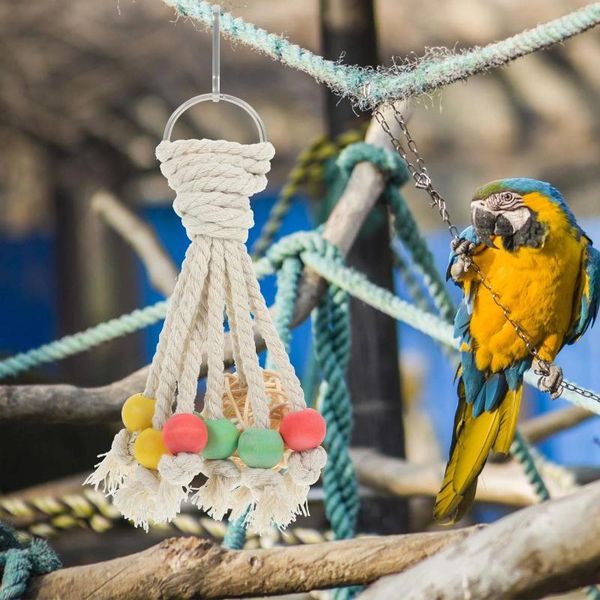 Outros pássaros suprimentos de pássaros papagaio takraw bola brinquedo cockatiel mastigando brinquedos pendurados no periquito Treinando corda de algodão