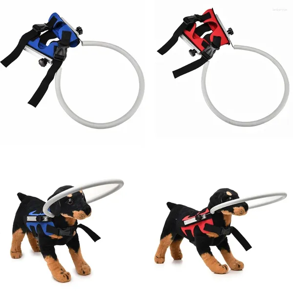 Anel de colar anti-colisão de colares para cães para animais de estimação guia de arnês seguro para o comportamento de treinamento Ajuda prevenir colisão