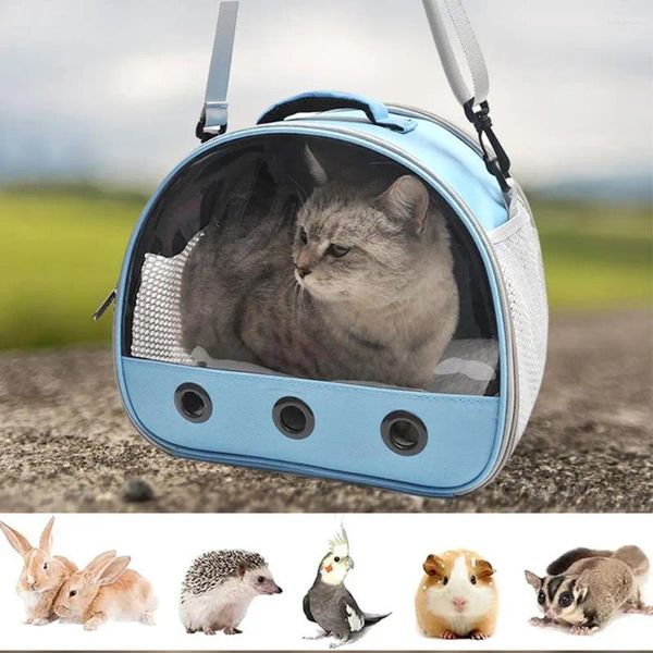 Transportadores de gatos 1pc Bolsa portátil portátil com janela transparente pendurada ao ar livre para hedge hedgehog de chinchilla case