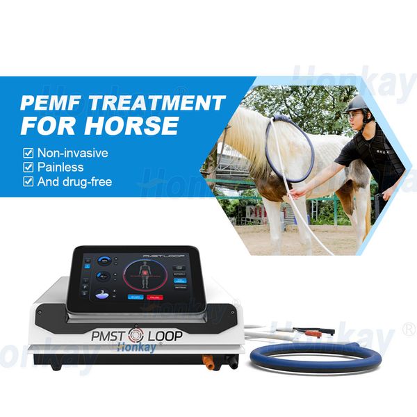 Máquina de reabilitação de loop PMST PEMF Pulsed Eletromagnético Feild Terapia Magnética Equipamento para Dor a Dor Cavalo Sport Recuperação de Lesões Esportivas e Cuidados de Saúde Humanos