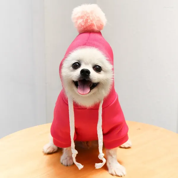 Maglione abbigliamento per cani maglioni caldi di medie dimensioni per vestiti per cani ragazzi extra grandi x ragazzino inverno