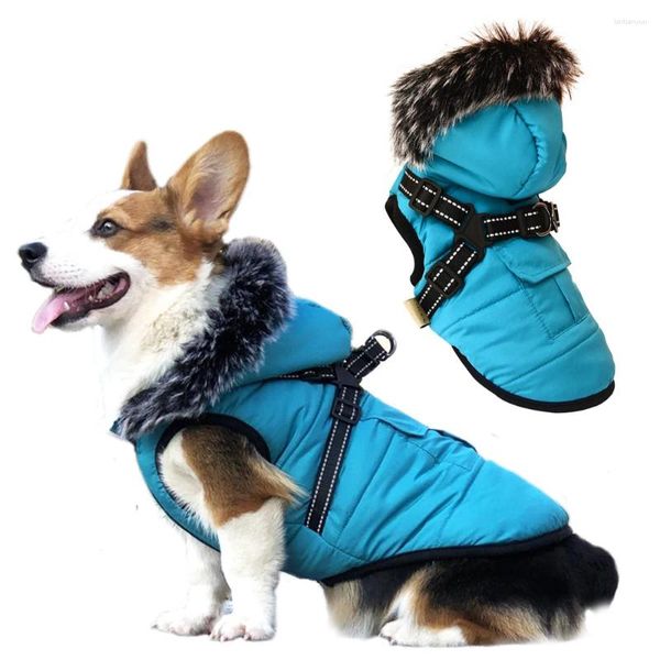 Giacca da colletto di pelliccia di abbigliamento per cani per cagnolini Super Warm Asterproof Winter Pet Absust with Cabina Cipper Coat Chihuahua Yorkshire