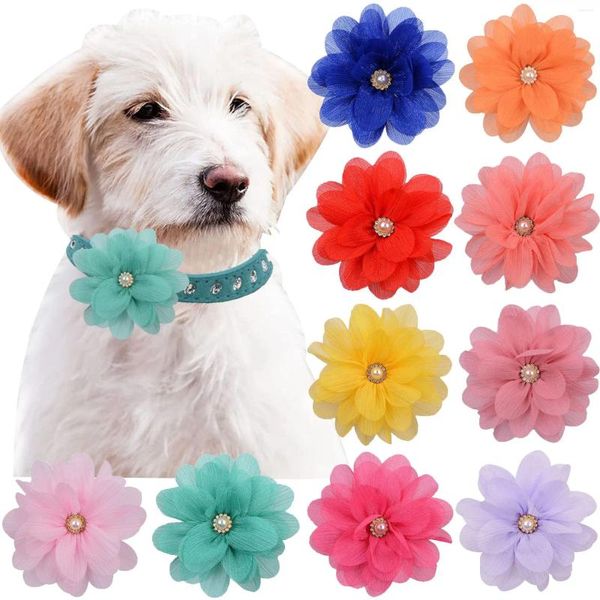 Köpek kıyafetleri 100pcs köpekler için çiçek yaka evcil hayvan kayar papyon bowties aksesuarları elmas