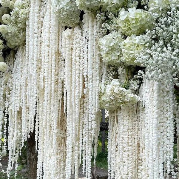 Fiori decorativi 5 pezzi di fiori secchi bouquet floreale decorazione per matrimoni conservati Amaranthu vere piante sospese naturali per la casa