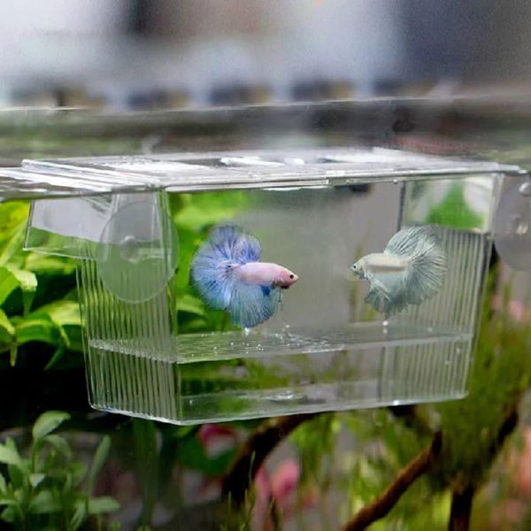 Große Größe 4 Räume und Mini -Größe Fischtank Aquarium Inkubator Fischzüchtung Schluckbox Acrylzüchtung Isolation Box