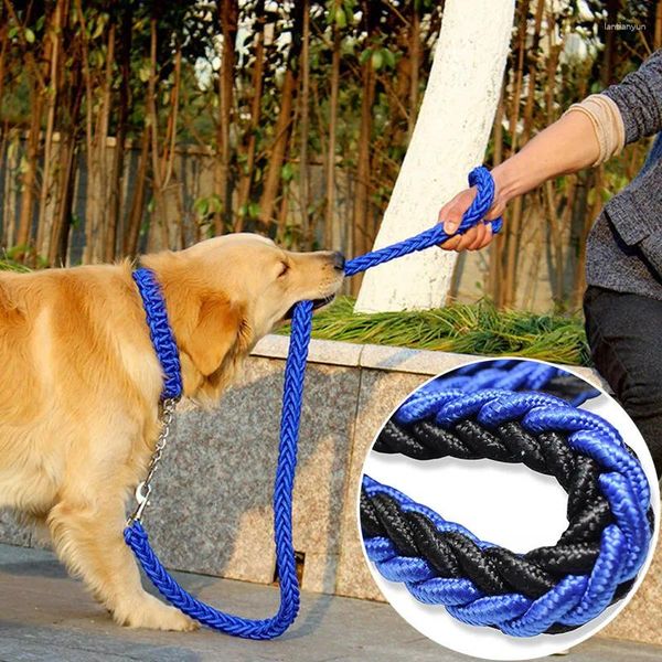 Hundekragen Doppelstrang Seilleine Metall P -Kette Schnalle Haustier -Traktionkragen für mittelgroße Hunde Leine 1,2 m Länge
