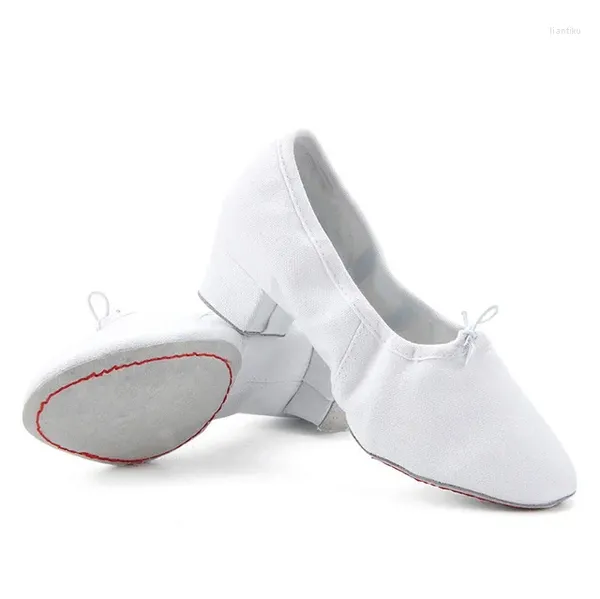 Tanzschuhe Sneaker Sport weiblicher weicher Boden für Frauen Schnürsenkel Training Yoga Bauch Folk Frau