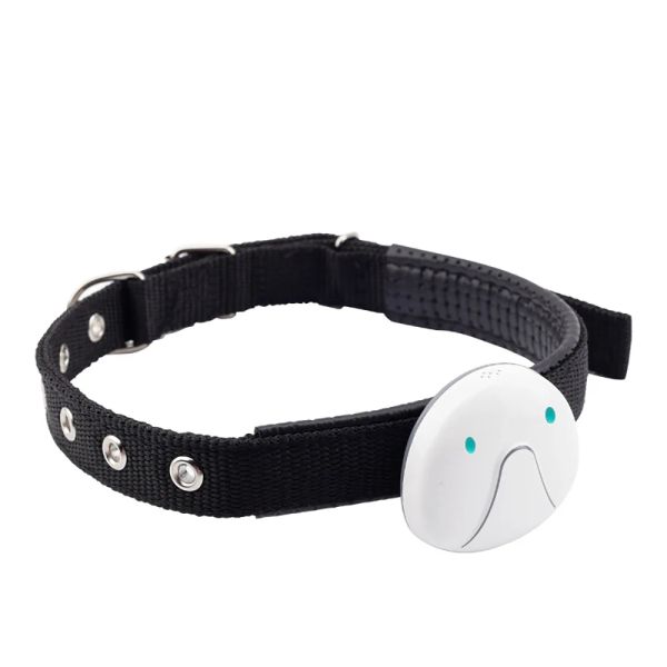 Uhren Anti Lost -Geräte Anti -Tracker -Diebstahl Antilost Mini -GPS -Locator WiFi Positioning Tracker Child Hundekatze Anti verlorene Geräte