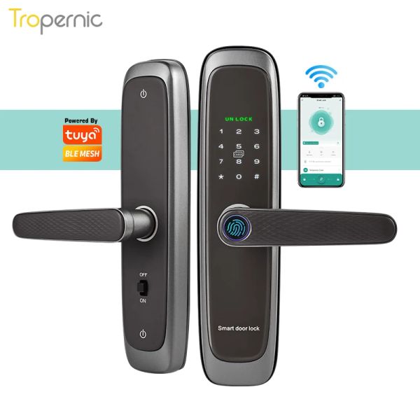 Blocco Tuya Bluetooth Electronic Smart Door Lock con tasto Biometric Tasto Smart Card Password Sblocca Airbnb Porta Airbnb