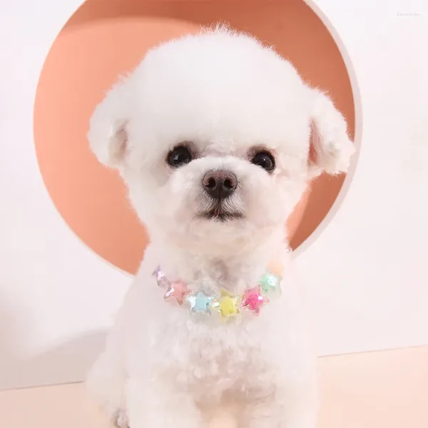 Abbigliamento per cani Pet Personality Cute Fashion Star Abs Star Collar Collar 2024 Accessori per gioielli da sposa e principessa.