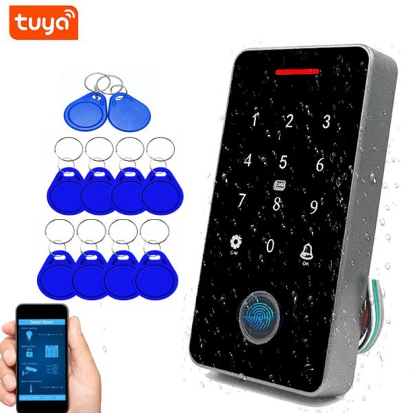 Leitores ao ar livre IP67 Tuya Access Control Keypad RFID 13.56MHz RFID de impressão digital RFID Reader