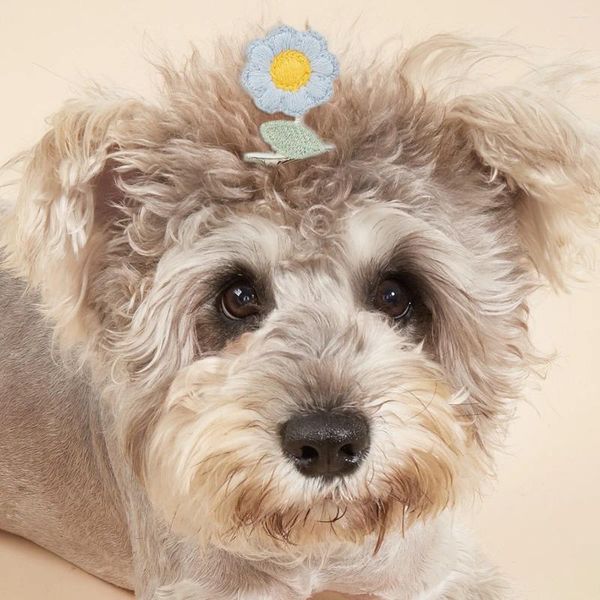 Vestuário para cães Pet fofo floral clipe acessórios de cocar de cocar de cachorro gato item item Mini decoração sólida azul rosa