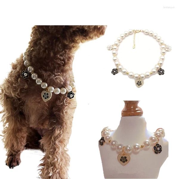 Collari per cani Collana Pearl Collar Gatto cucciolo gioiello con accessori per animali domestici rosa rosa bling