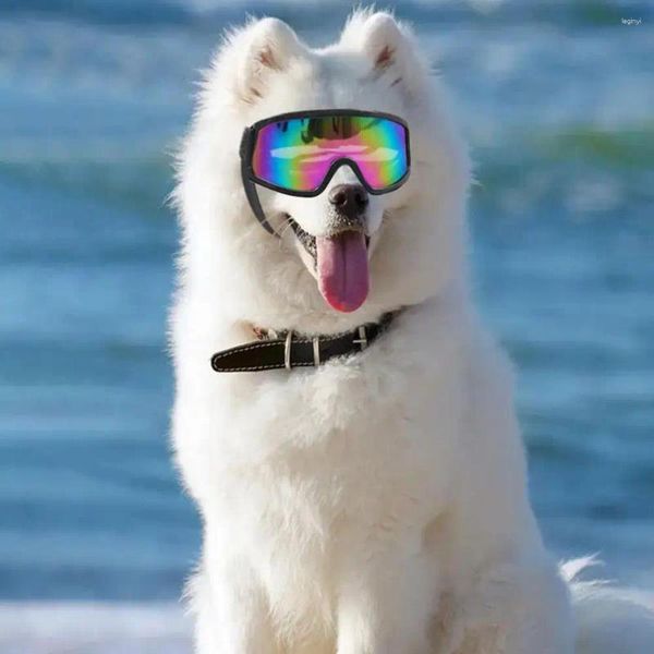 Abbigliamento per cani Goggles anticruola protezione UV per occhiali da sole a vento per cani da piccola a media razza