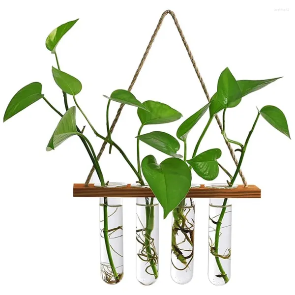 Figurine decorative Vase pianta di pianta di pianta di pianta di pianta di vetro per provetta a muro con corde in legno.